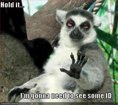 funny-pictures-lemur-needs-to-see-some-id.jpg